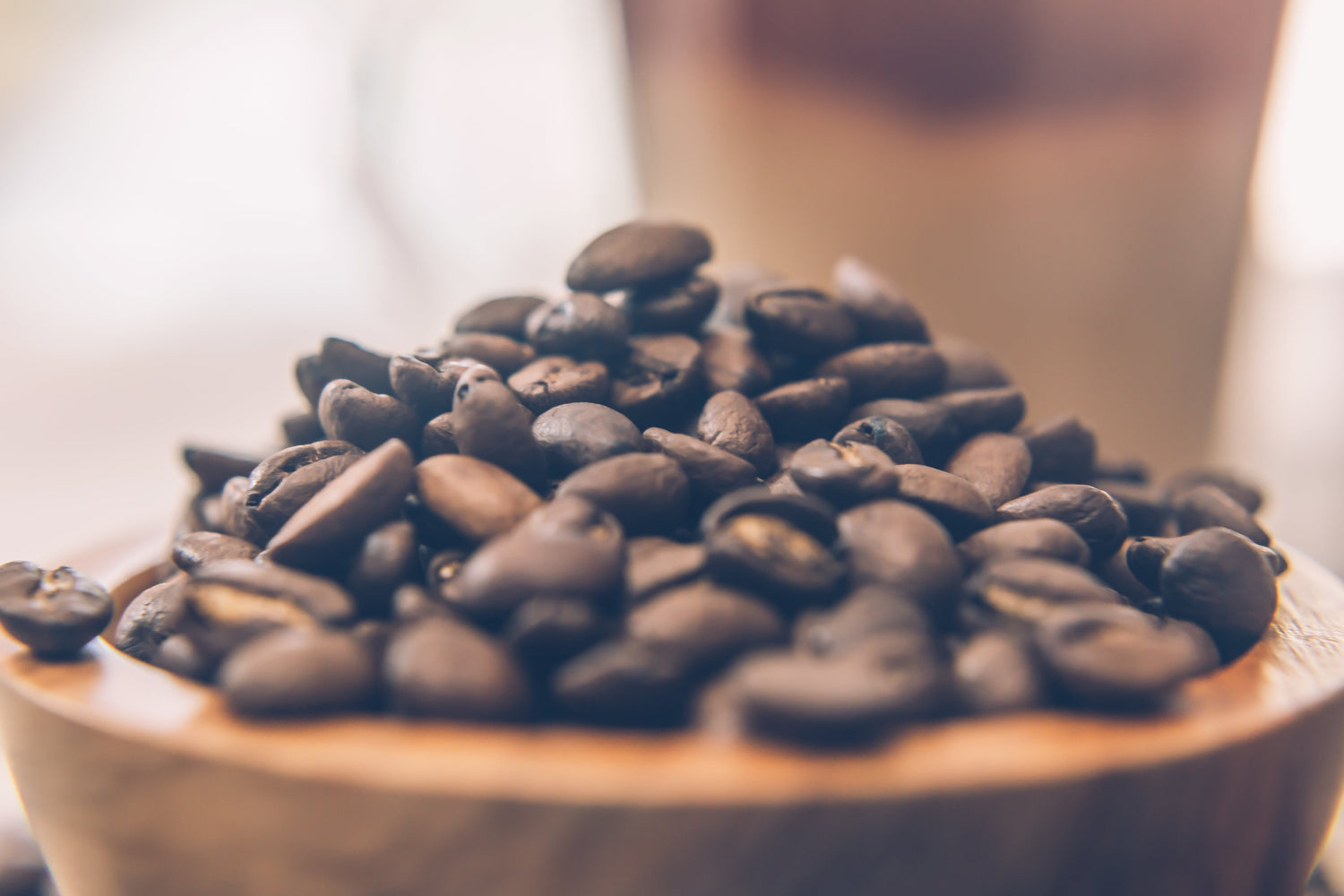 Light Roast Coffees